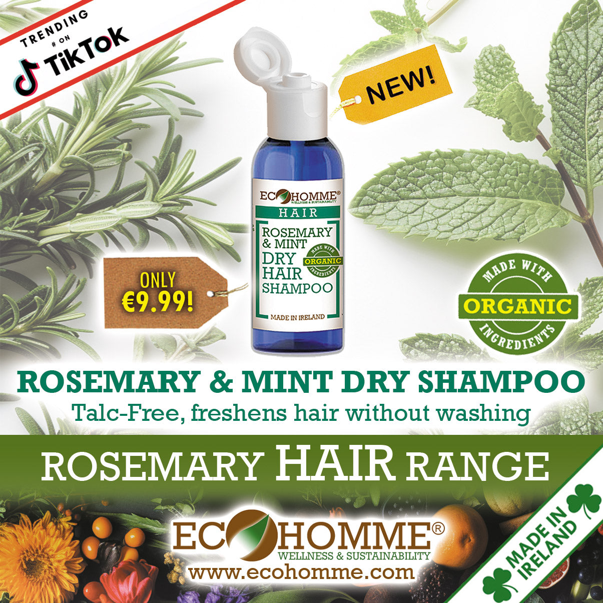 Champú para cabello seco con romero y menta (20 g)
